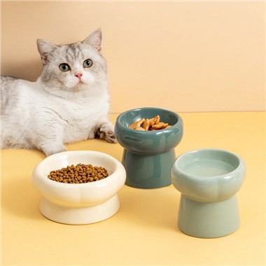 Cast Dog din ceramică pentru animale de companie
